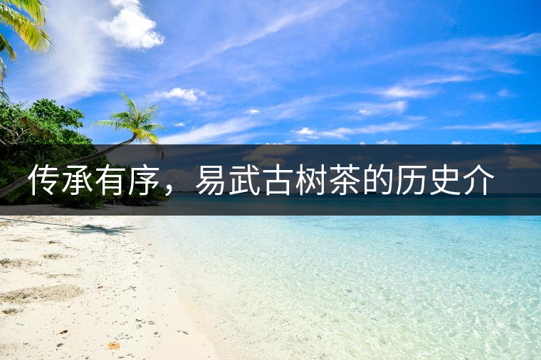 傳承有序，易武古樹茶的歷史介紹