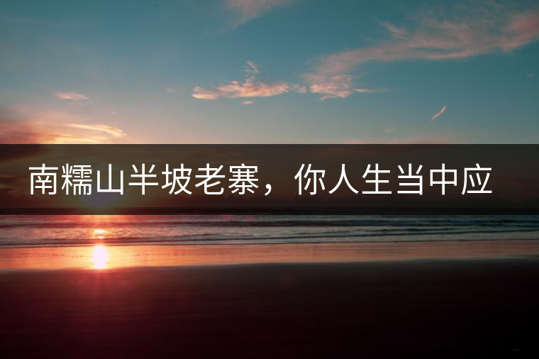 南糯山半坡老寨，你人生當中應該入手的第一片勐海味古樹純料普洱茶