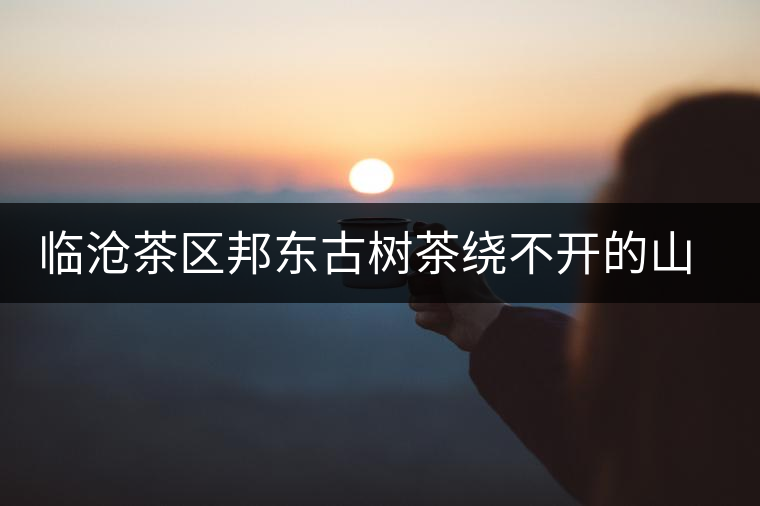 臨滄茶區(qū)邦東古樹茶繞不開的山頭——曼崗古樹茶口感與特點(diǎn) 臨滄茶區(qū)邦東古樹茶繞不開的山頭——曼崗古樹茶口感與特點(diǎn)