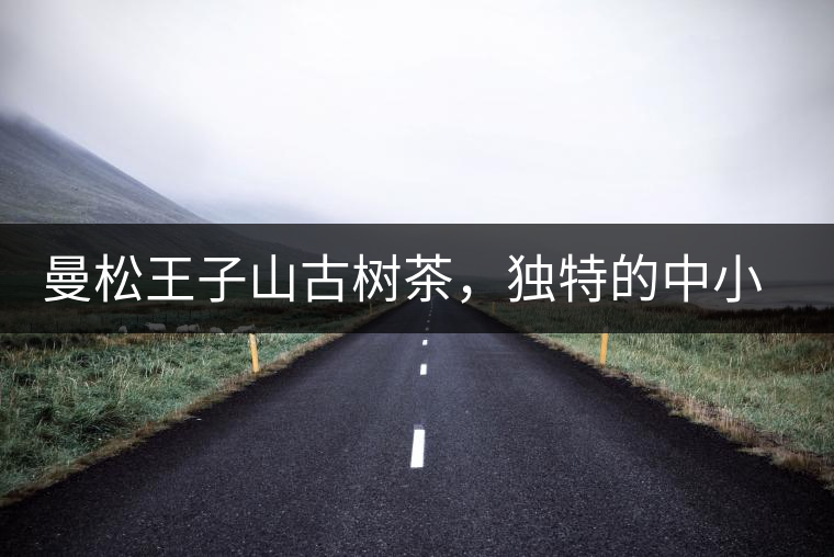 曼松王子山古樹(shù)茶，獨(dú)特的中小葉種珍品貢茶