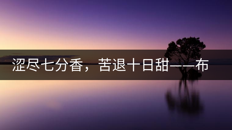 澀盡七分香，苦退十日甜——布朗山千年古寨曼新龍