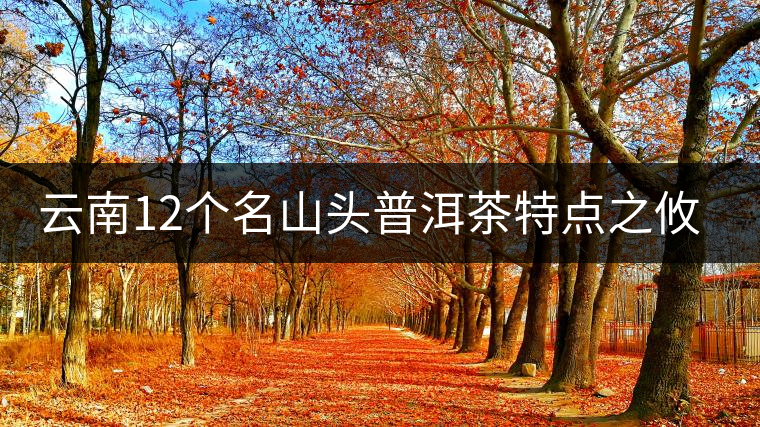 云南12個(gè)名山頭普洱茶特點(diǎn)之攸樂篇 云南12個(gè)名山頭普洱茶特點(diǎn)之攸樂篇