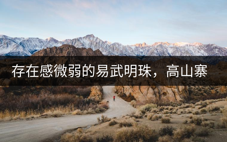 存在感微弱的易武明珠，高山寨古樹(shù)茶介紹