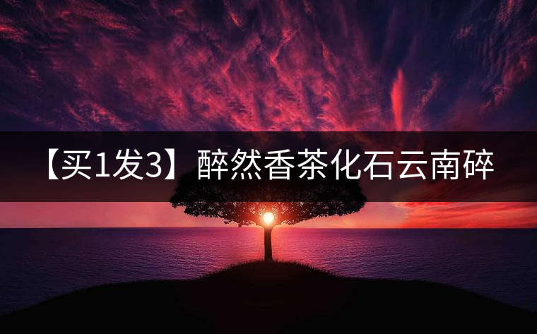 【買1發(fā)3】醉然香茶化石云南碎銀子普洱茶古樹茶糯米香茶葉共375g 【買1發(fā)3】醉然香茶化石云南碎銀子普洱茶古樹茶糯米香茶葉共375g