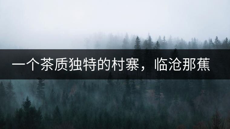 一個(gè)茶質(zhì)獨(dú)特的村寨，臨滄那蕉古樹茶介紹