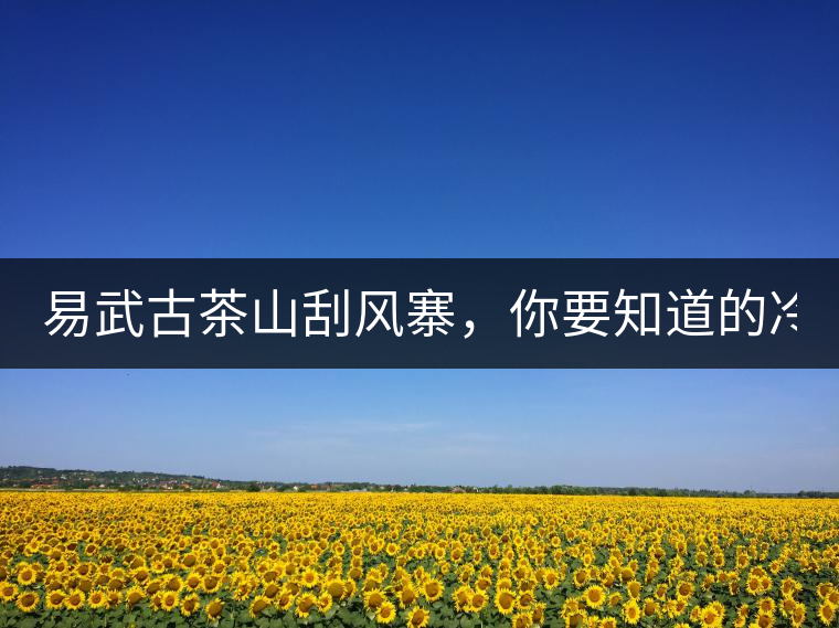 易武古茶山刮風(fēng)寨，你要知道的冷知識(shí)！