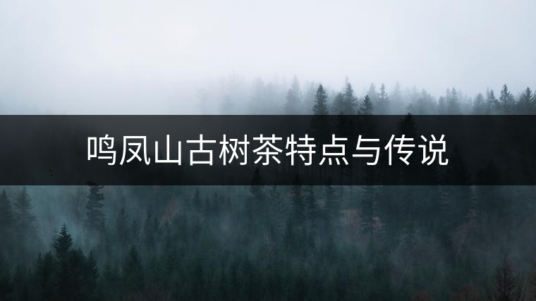 鳴鳳山古樹(shù)茶特點(diǎn)與傳說(shuō) 鳴鳳山古樹(shù)茶特點(diǎn)與傳說(shuō)