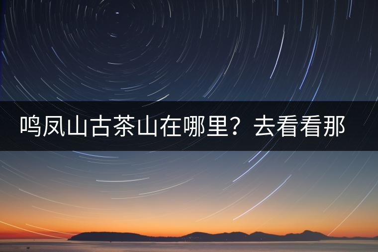 鳴鳳山古茶山在哪里？去看看那鳳凰曾經(jīng)落腳的地方
