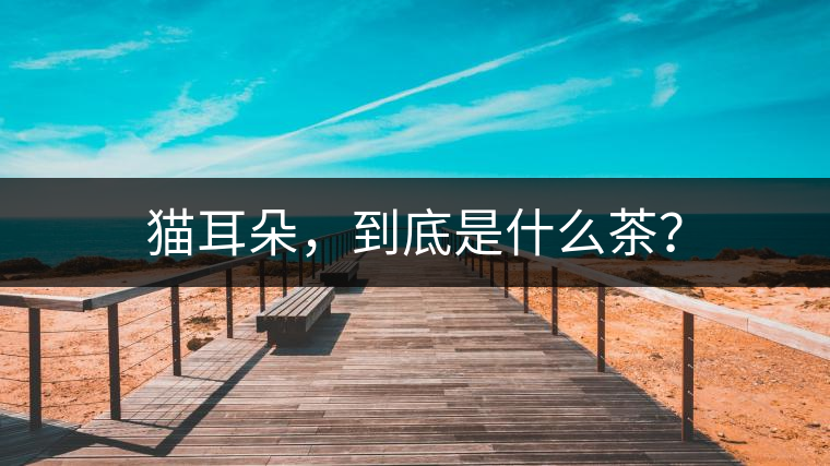 貓耳朵，到底是什么茶？