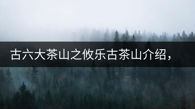古六大茶山之攸樂(lè)古茶山介紹，攸樂(lè)古樹(shù)茶口感特點(diǎn)