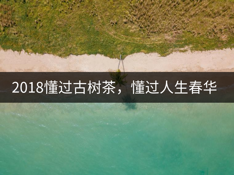 2018懂過古樹茶，懂過人生春華秋實！