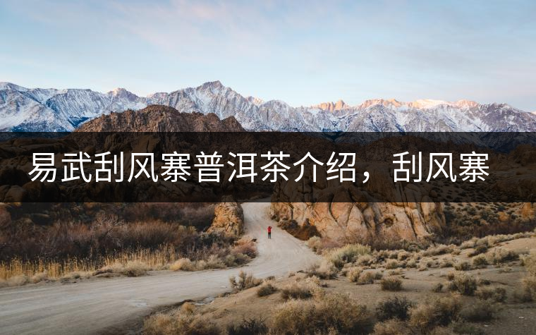 易武刮風寨普洱茶介紹，刮風寨古樹茶口感特點