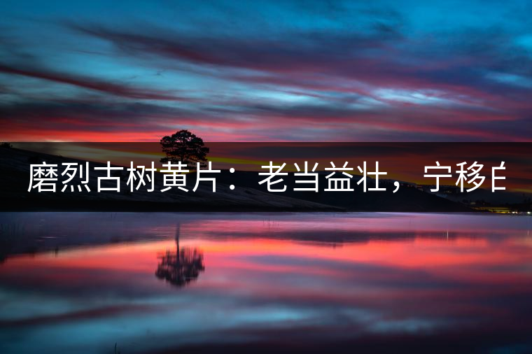 磨烈古樹黃片：老當益壯，寧移白首之心！