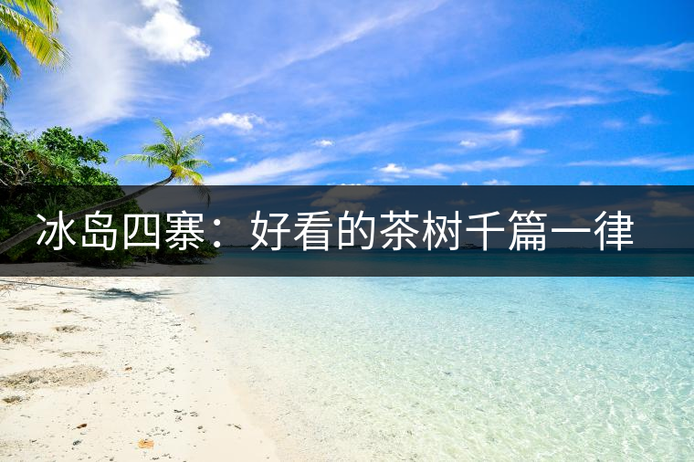 冰島四寨：好看的茶樹(shù)千篇一律，有趣的風(fēng)景萬(wàn)里