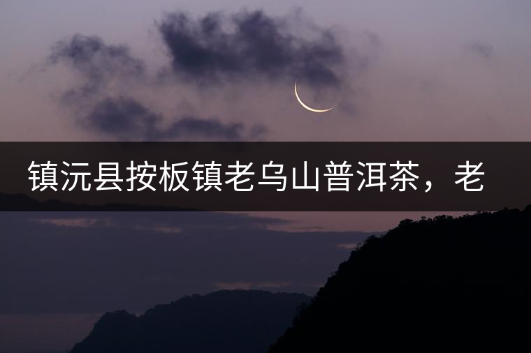鎮(zhèn)沅縣按板鎮(zhèn)老烏山普洱茶，老烏山古樹茶口感特點