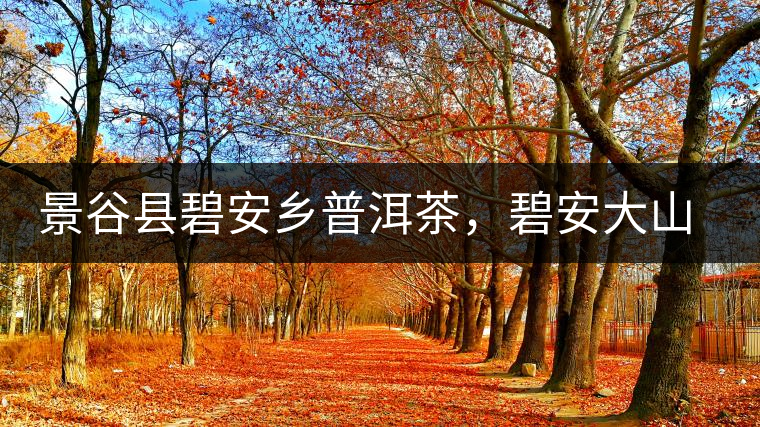 景谷縣碧安鄉(xiāng)普洱茶，碧安大山古樹(shù)茶口感特點(diǎn)