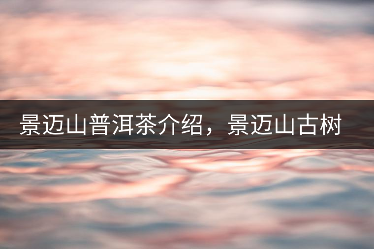 景邁山普洱茶介紹，景邁山古樹(shù)茶口感特點(diǎn)