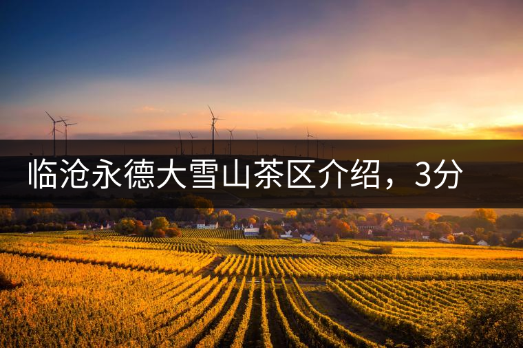 臨滄永德大雪山茶區(qū)介紹，3分鐘了解永德大雪山古樹茶