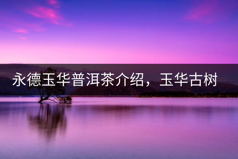 永德玉華普洱茶介紹，玉華古樹茶口感特點(diǎn)