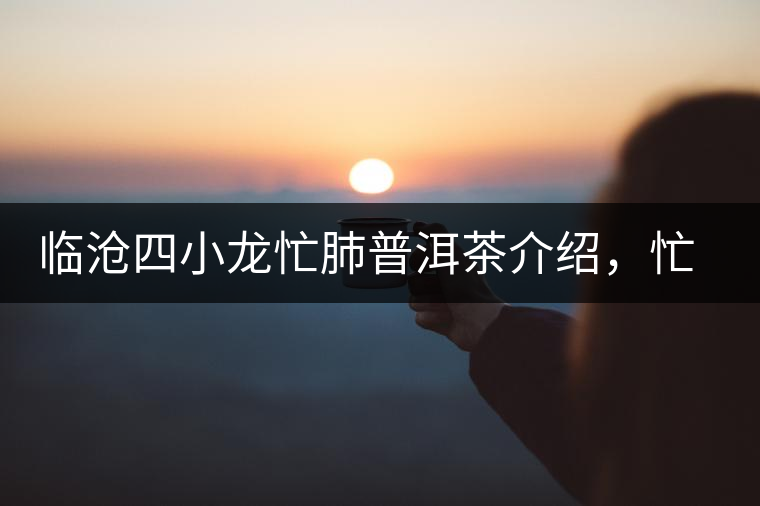 臨滄四小龍忙肺普洱茶介紹，忙肺古樹茶口感特點(diǎn)