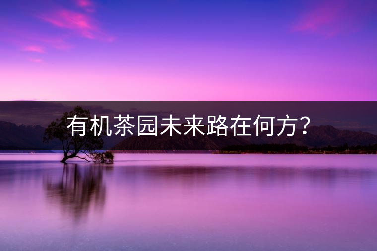 有機(jī)茶園未來(lái)路在何方？