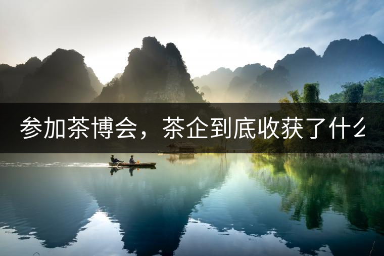 參加茶博會，茶企到底收獲了什么？