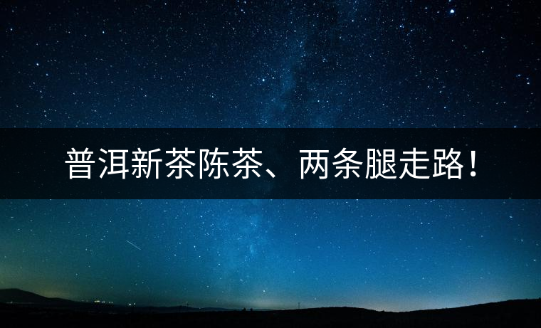 普洱新茶陳茶、兩條腿走路！
