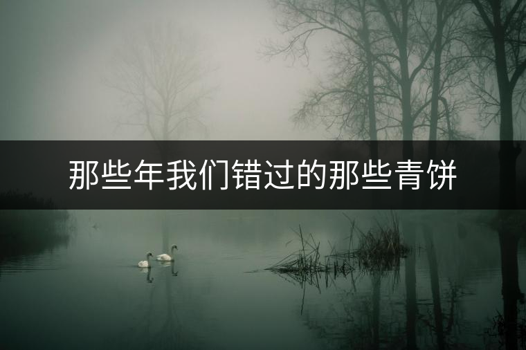 那些年我們錯(cuò)過(guò)的那些青餅 那些年我們錯(cuò)過(guò)的那些青餅