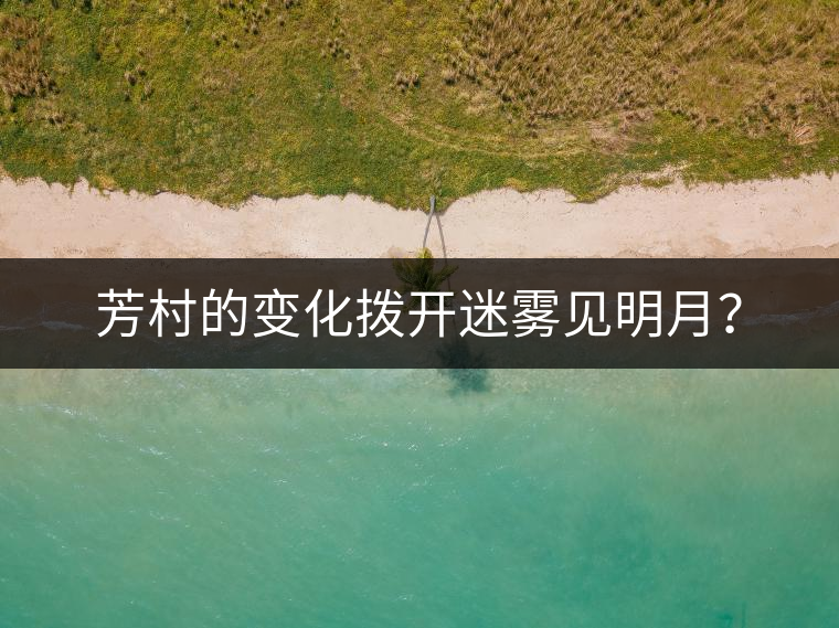 芳村的變化撥開迷霧見明月？