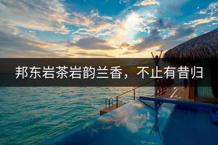 邦東巖茶巖韻蘭香，不止有昔歸