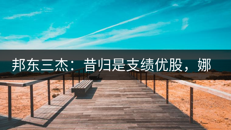 邦東三杰：昔歸是支績(jī)優(yōu)股，娜罕是支潛力股