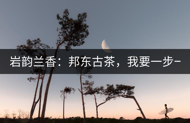 巖韻蘭香：邦東古茶，我要一步一步往上爬！