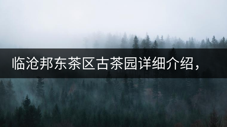 臨滄邦東茶區(qū)古茶園詳細(xì)介紹，邦東古樹茶特點(diǎn)