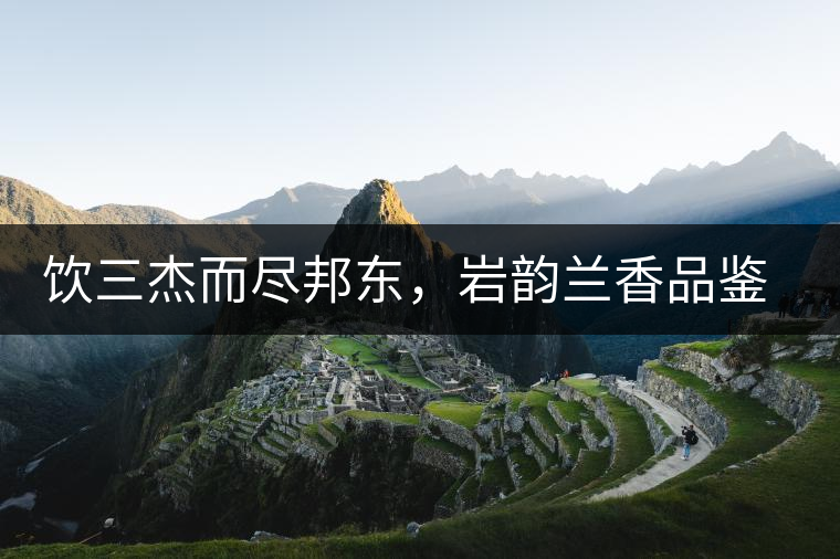 飲三杰而盡邦東，巖韻蘭香品鑒：生于山石上，韻味正當