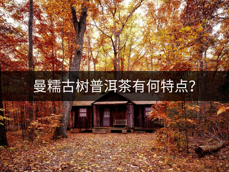 曼糯古樹普洱茶有何特點(diǎn)？