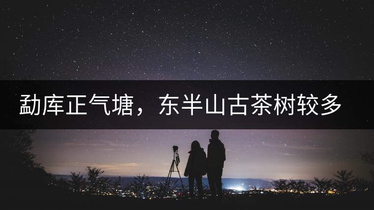 勐庫正氣塘，東半山古茶樹較多的寨子