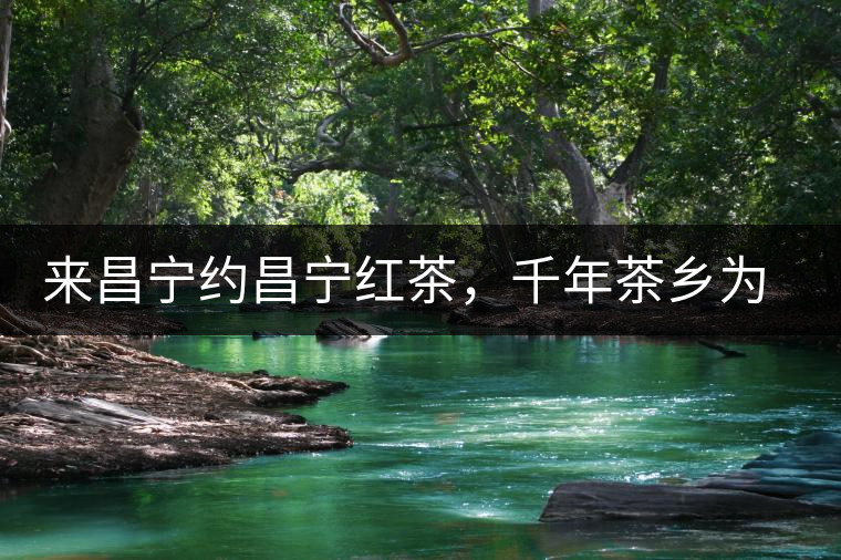 來(lái)昌寧約昌寧紅茶，千年茶鄉(xiāng)為您開啟生態(tài)之旅