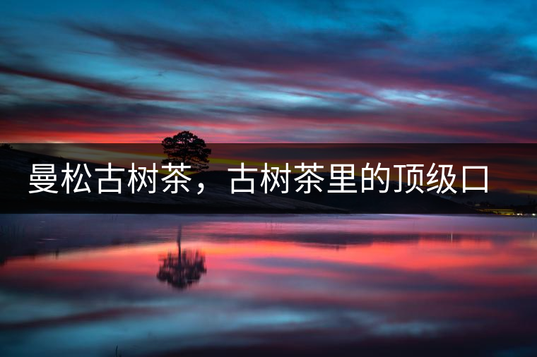 曼松古樹茶，古樹茶里的頂級口感