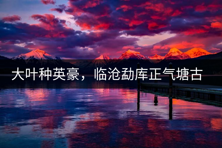 大葉種英豪，臨滄勐庫正氣塘古樹茶介紹