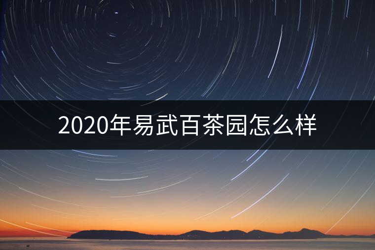 2020年易武百茶園怎么樣 2020年易武百茶園怎么樣