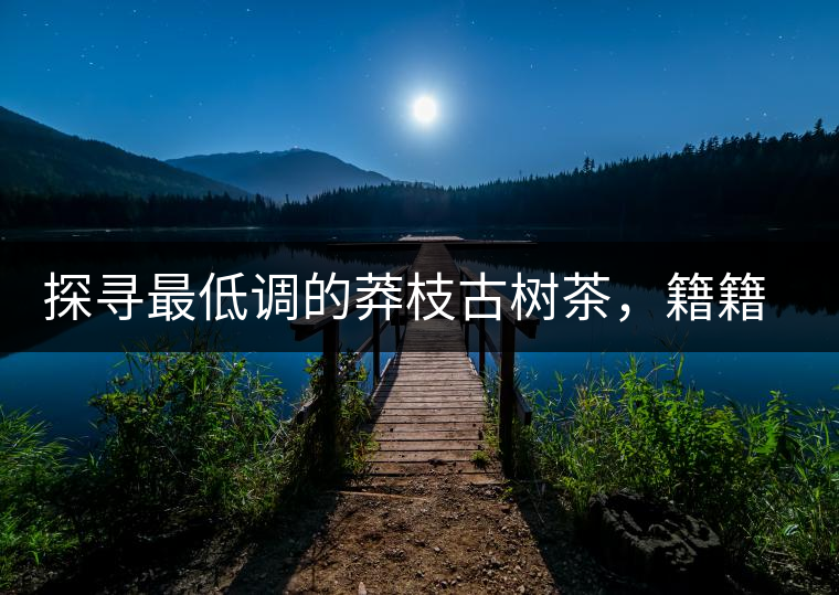 探尋最低調(diào)的莽枝古樹(shù)茶，籍籍無(wú)名出好茶