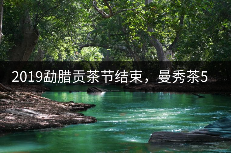 2019勐臘貢茶節(jié)結(jié)束，曼秀茶5公斤107萬奪得金獎