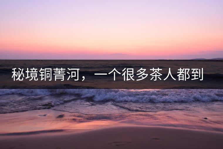 秘境銅菁河，一個很多茶人都到不了的地方