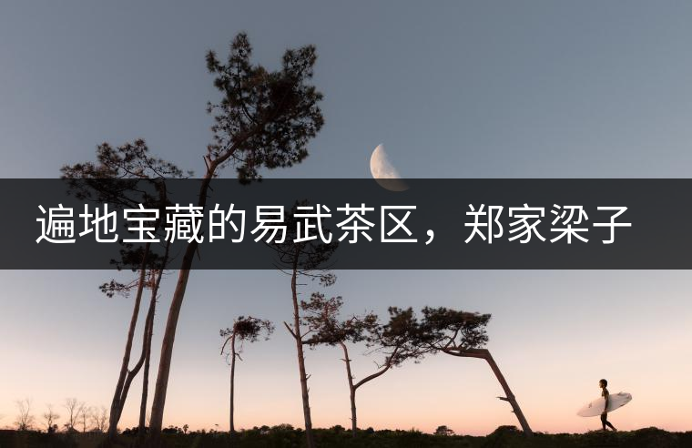 遍地寶藏的易武茶區(qū)，鄭家梁子荒田村古樹茶介紹