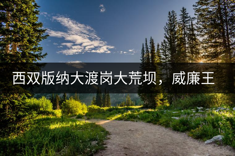 西雙版納大渡崗大荒壩，威廉王子曾經(jīng)到過的古樹茶山