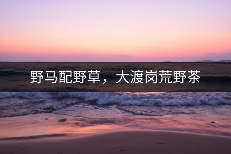 野馬配野草，大渡崗荒野茶