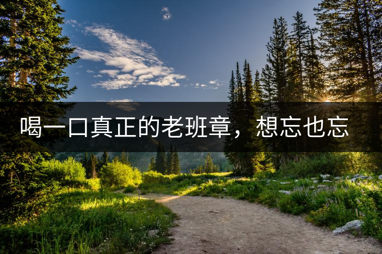 喝一口真正的老班章，想忘也忘不了的味道