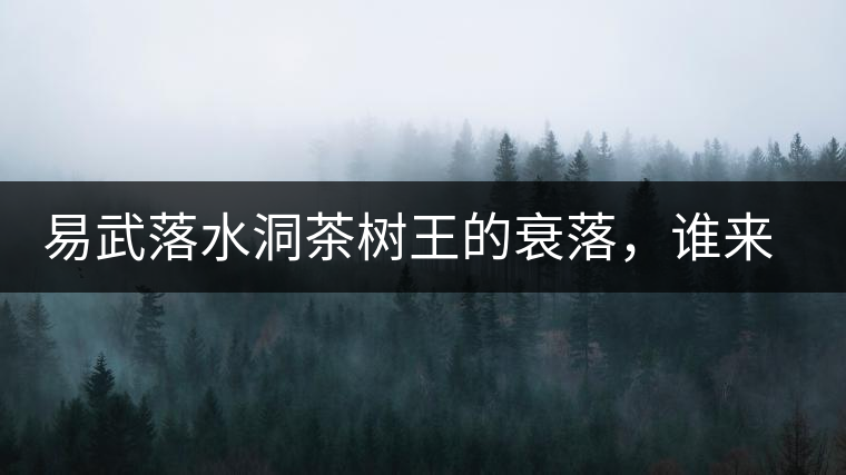 易武落水洞茶樹王的衰落，誰來關(guān)注古樹茶？