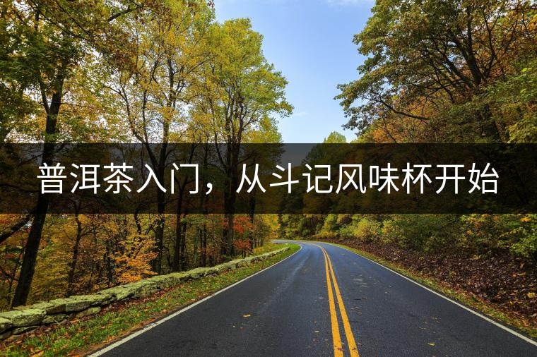 普洱茶入門，從斗記風味杯開始