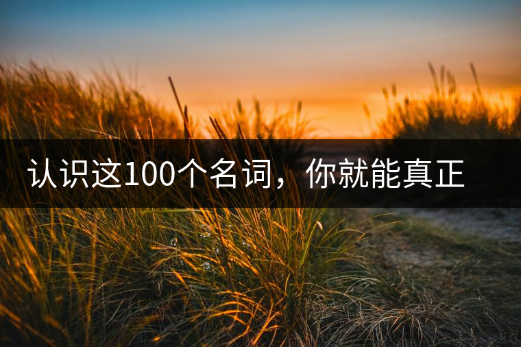 認(rèn)識(shí)這100個(gè)名詞，你就能真正了解普洱茶？